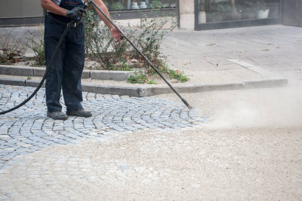Professional  Pressure Washing Services in Mount Vernon, WA